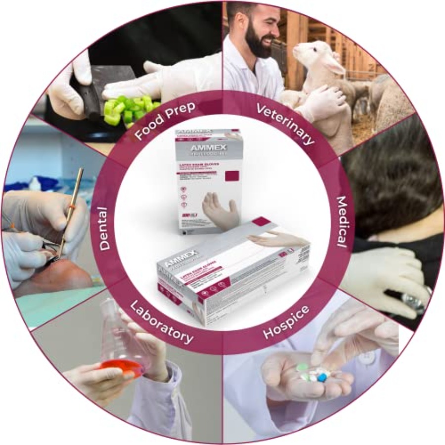 AMMEX White Latex Disposable E - Latex Disposable Glove avis et prix