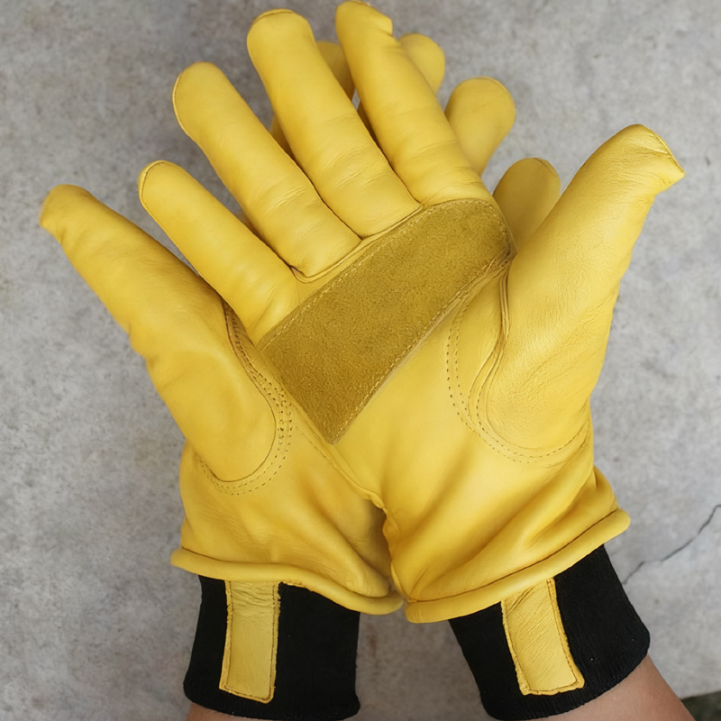 Mens Motorcycle Winter Gloves  - Winter Glove Insulated avis et prix